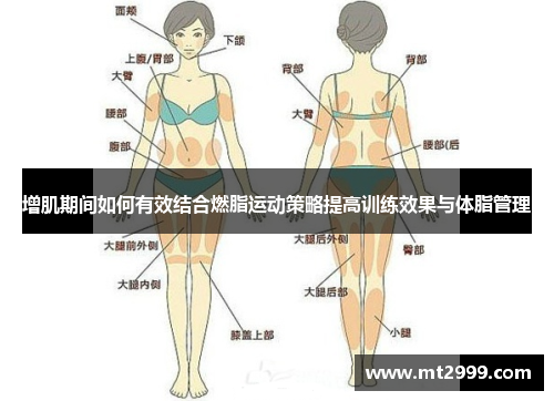 增肌期间如何有效结合燃脂运动策略提高训练效果与体脂管理